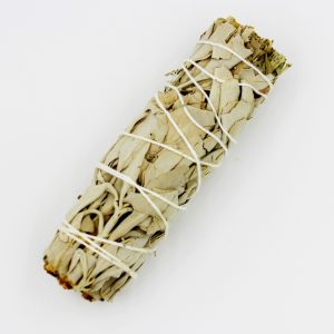 White Sage 4" Natural Sticks - 3 Pack